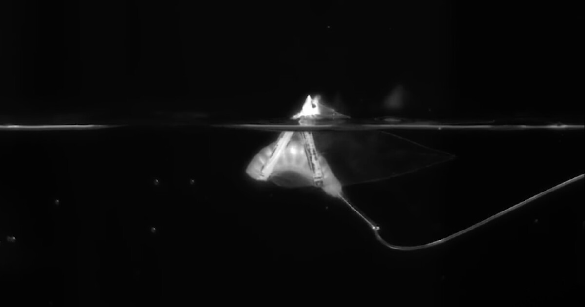 Robotic Manta Ray uses simpler and more efficient design to swim and faster